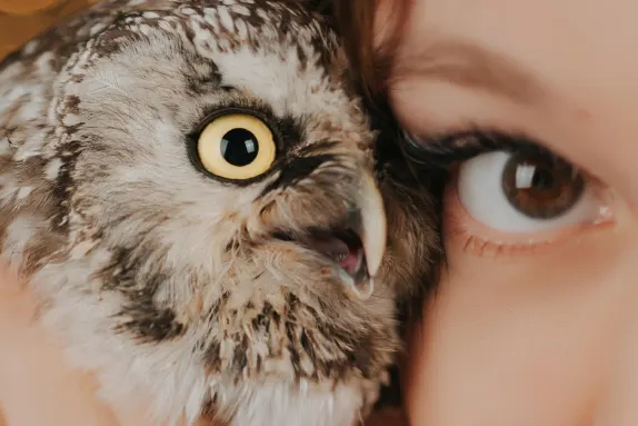 Royal Winner Casino Support